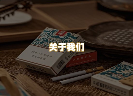 关于我们
